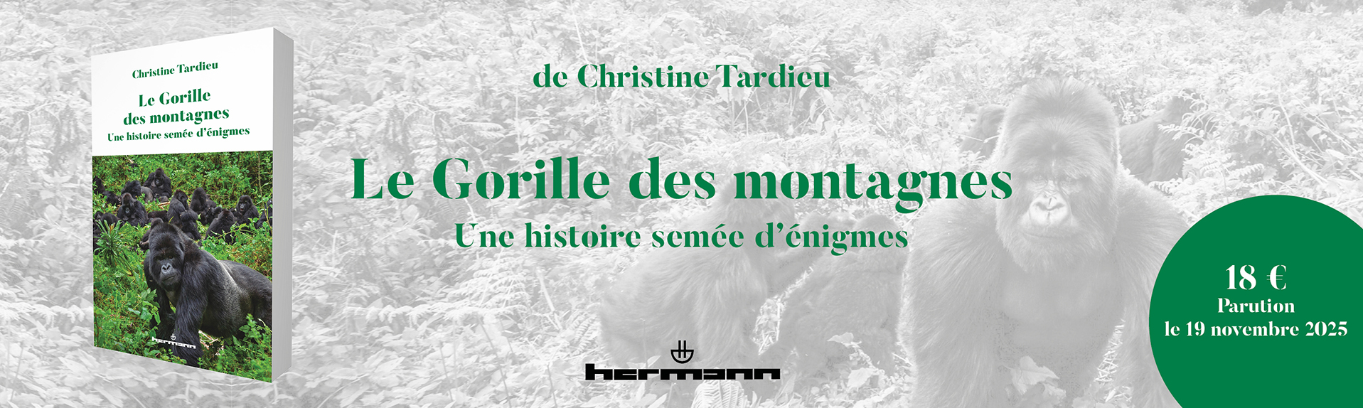 Le gorille des montagnes